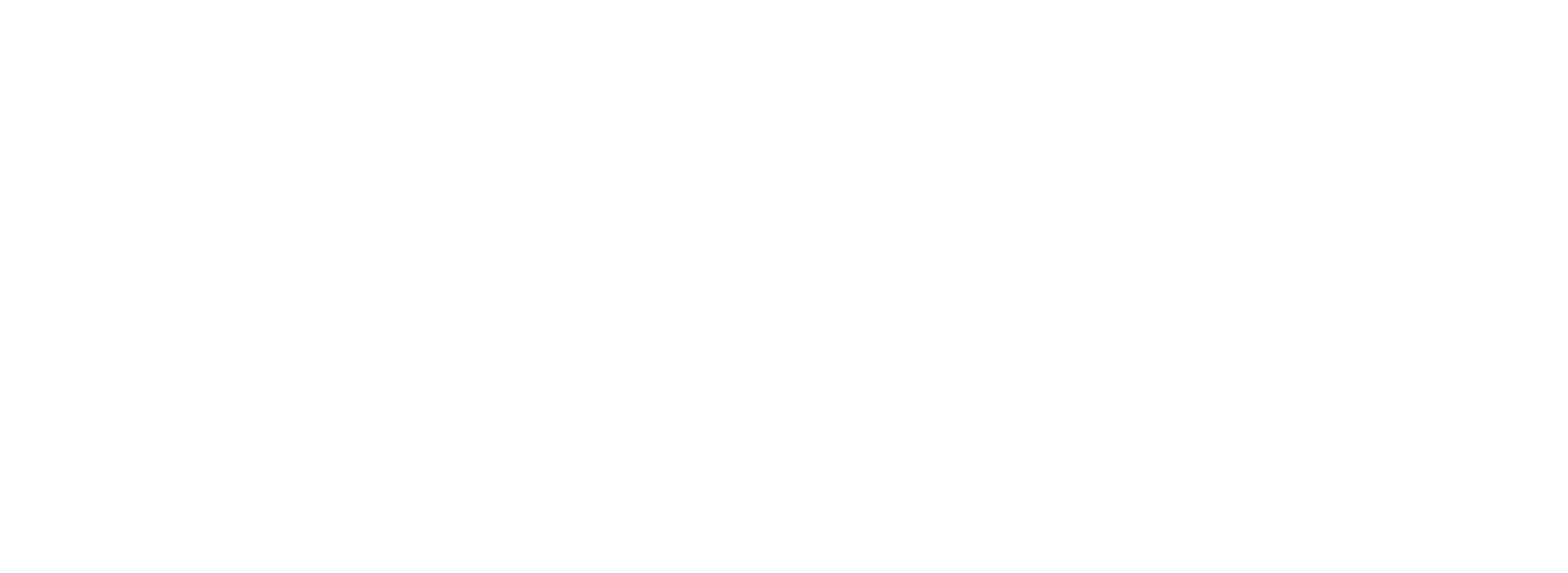 LOGO POLIDORO BROS WHITE