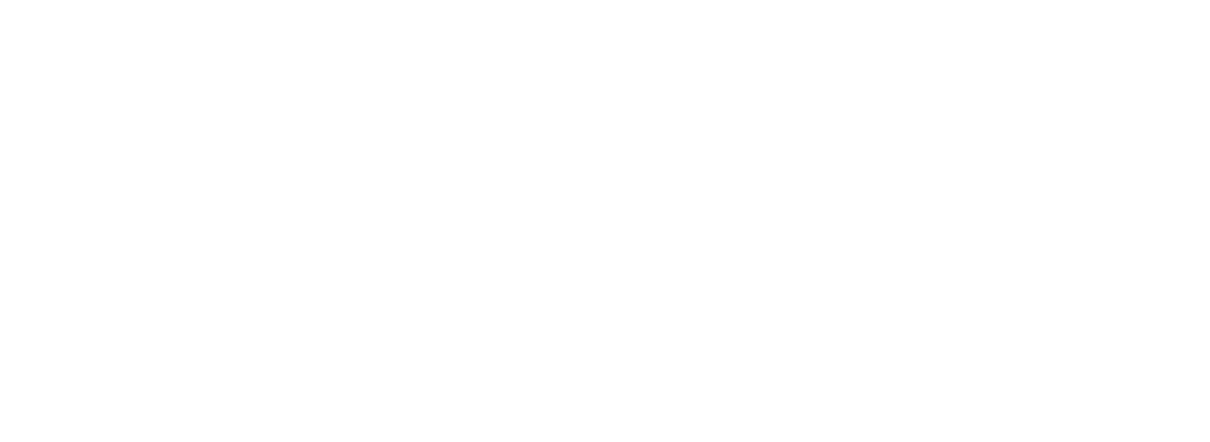 b21k_logo-WHITE-VAZADO